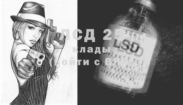 СК Михайлов