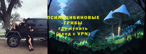 СК Михайлов