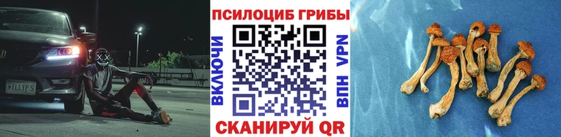 Галлюциногенные грибы ЛСД  Купить закладки  Лосино-Петровский 